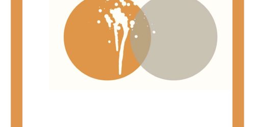 Final Narrative Report Firearms Misuse and Gender-based Violence